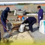 Trabajos de hoy en Punto Orgánico