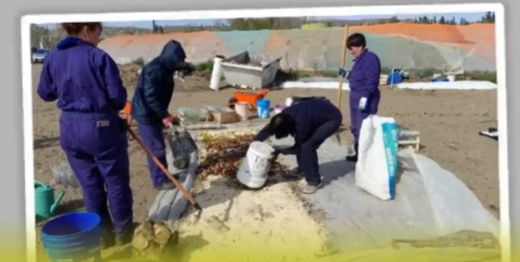 Trabajos de hoy en Punto Orgánico