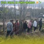 Un paseo diferente en Punto Orgánico