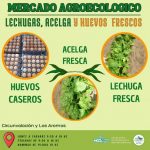 ¡Productos frescos del Mercado Agroecológico!