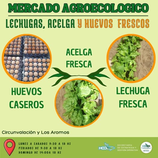 ¡Productos frescos del Mercado Agroecológico!