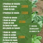 ¡Ciclón de Combos en Punto Orgánico!