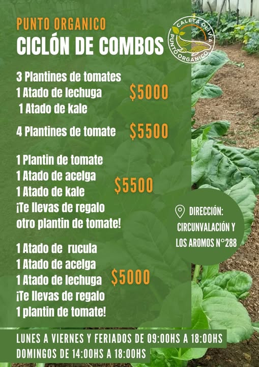 ¡Ciclón de Combos en Punto Orgánico!