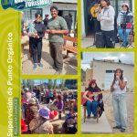 Paseos Turísticos en Punto Orgánico