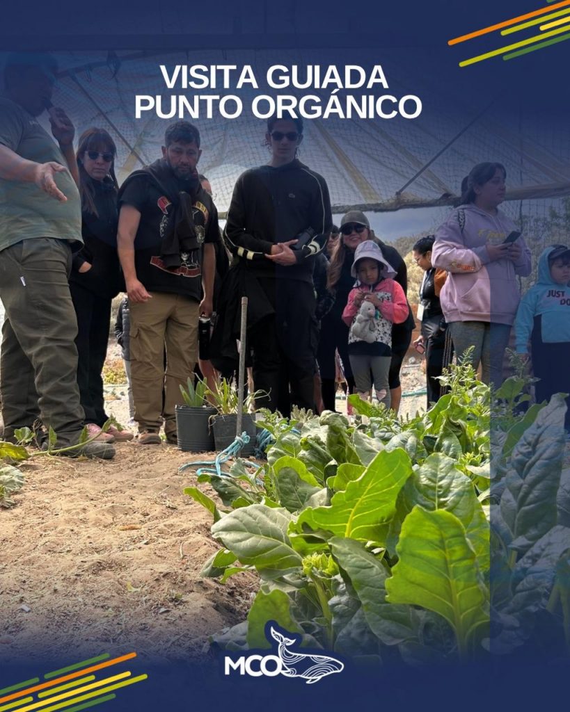 Visita Guidada Punto Orgánico