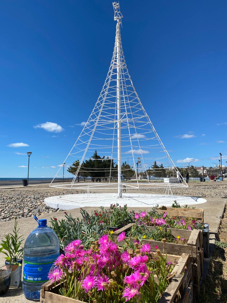 Punto Orgánico trabajo en el embellecimiento del espacio del Árbol de Navidad en la costanera de Caleta Olivia.