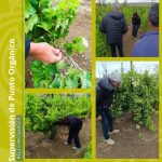 Visita de Fundación FEPA a Punto Orgánico