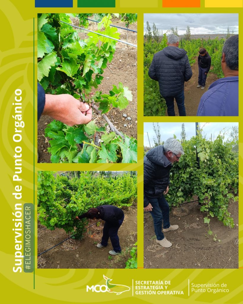 Visita de Fundación FEPA a Punto Orgánico