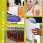 Punto Orgánico cerró hoy un importante ciclo de trabajo