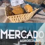 Mercado Agroecológico – Punto Orgánico