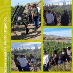 Recibimos nuevas visitas en nuestra chacra