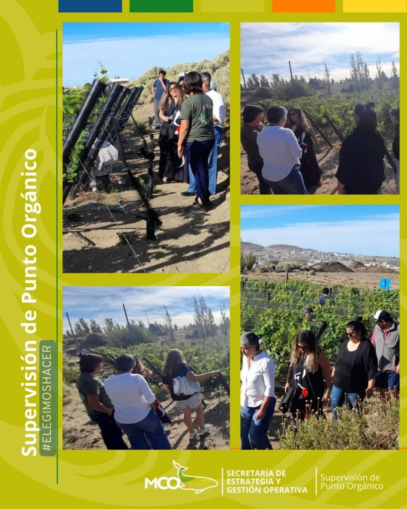 Recibimos nuevas visitas en nuestra chacra