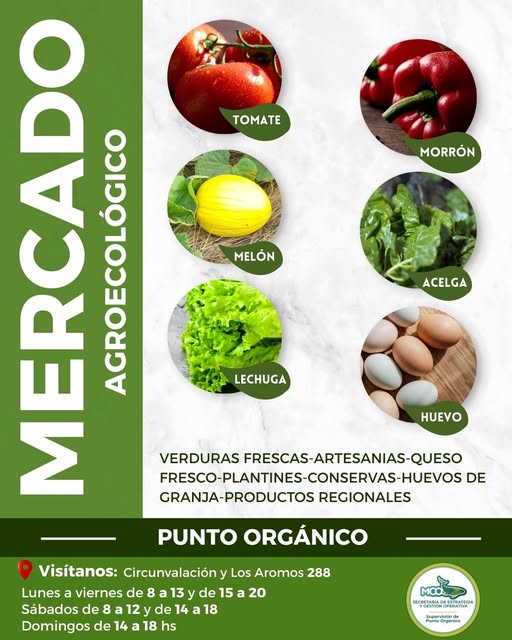 Descubrí el sabor más fresco y natural en PUNTO ORGÁNICO!