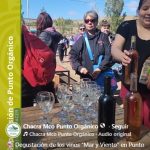 Degustación de los vinos “Mar y Viento” en Punto Orgánico