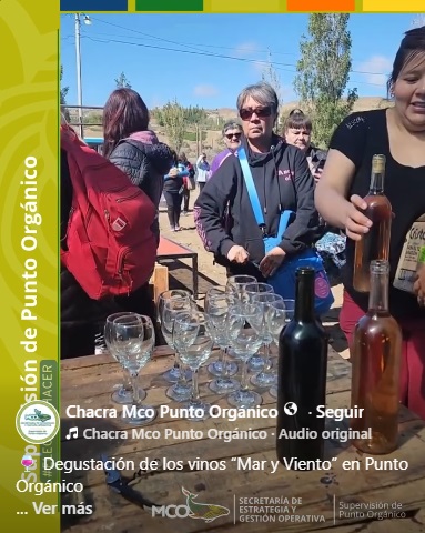 Degustación de los vinos “Mar y Viento” en Punto Orgánico