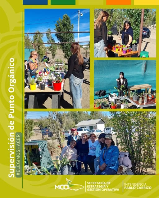 Gracias por ser parte de Paseo Verde