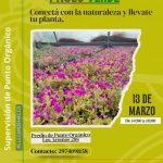 Una invitación a conectar con la naturaleza y llevarte tu planta