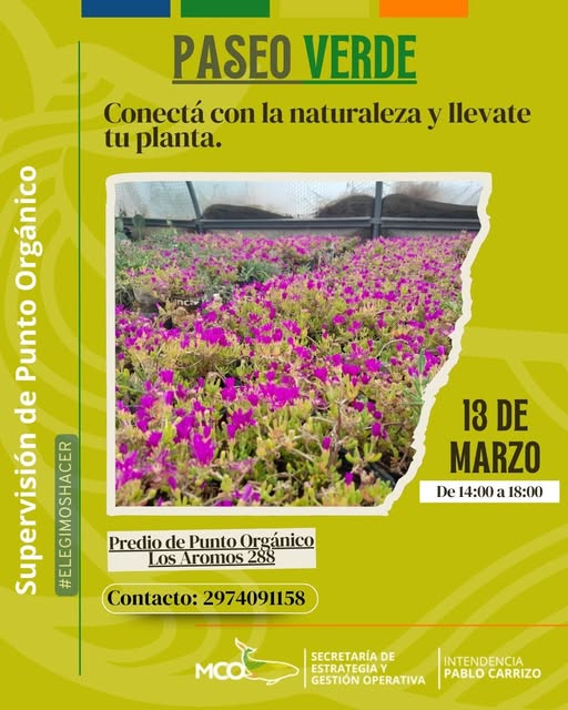 Una invitación a conectar con la naturaleza y llevarte tu planta