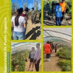 Paseos por la chacra en Punto Orgánico