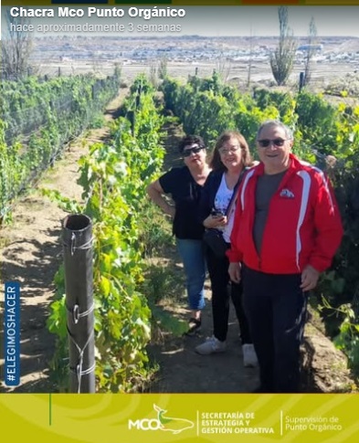 Visita en Punto Orgánico