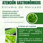 Proyecto de Hidroponía – Punto Orgánico