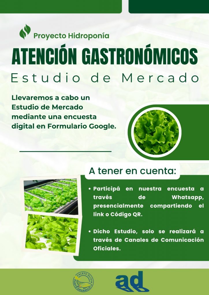 Proyecto de Hidroponía – Punto Orgánico