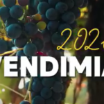VENDIMIA 2026