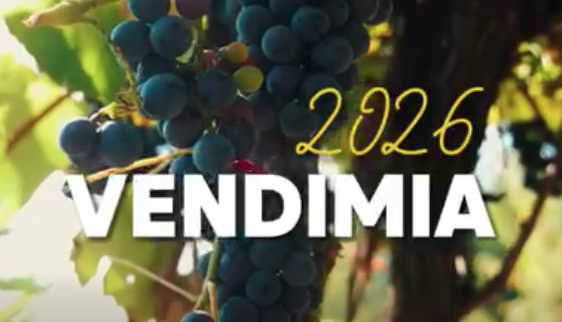 VENDIMIA 2026