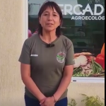 Tarde con identidad patagónica en Punto Orgánico