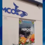 Mercado Agroecológico