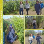 Visita en Punto Orgánico