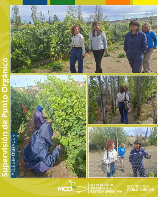 Visita en Punto Orgánico