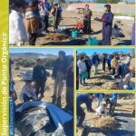 Vivimos una jornada a puro aprendizaje y naturaleza en Punto Orgánico!