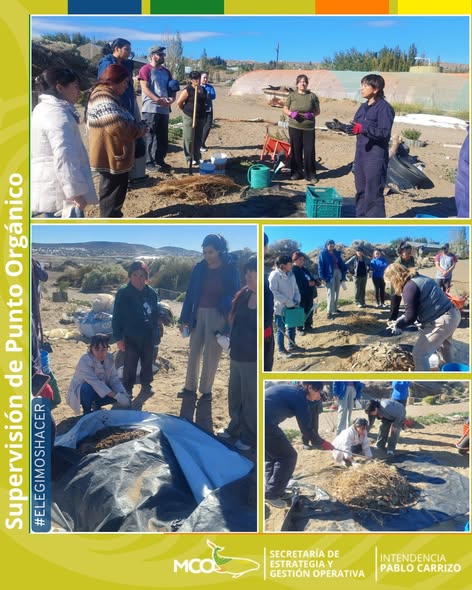 Vivimos una jornada a puro aprendizaje y naturaleza en Punto Orgánico!