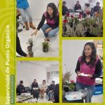 TALLER VERDE