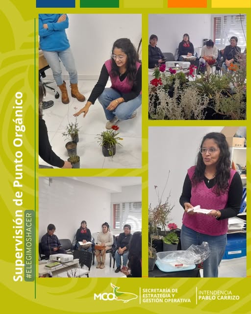 TALLER VERDE