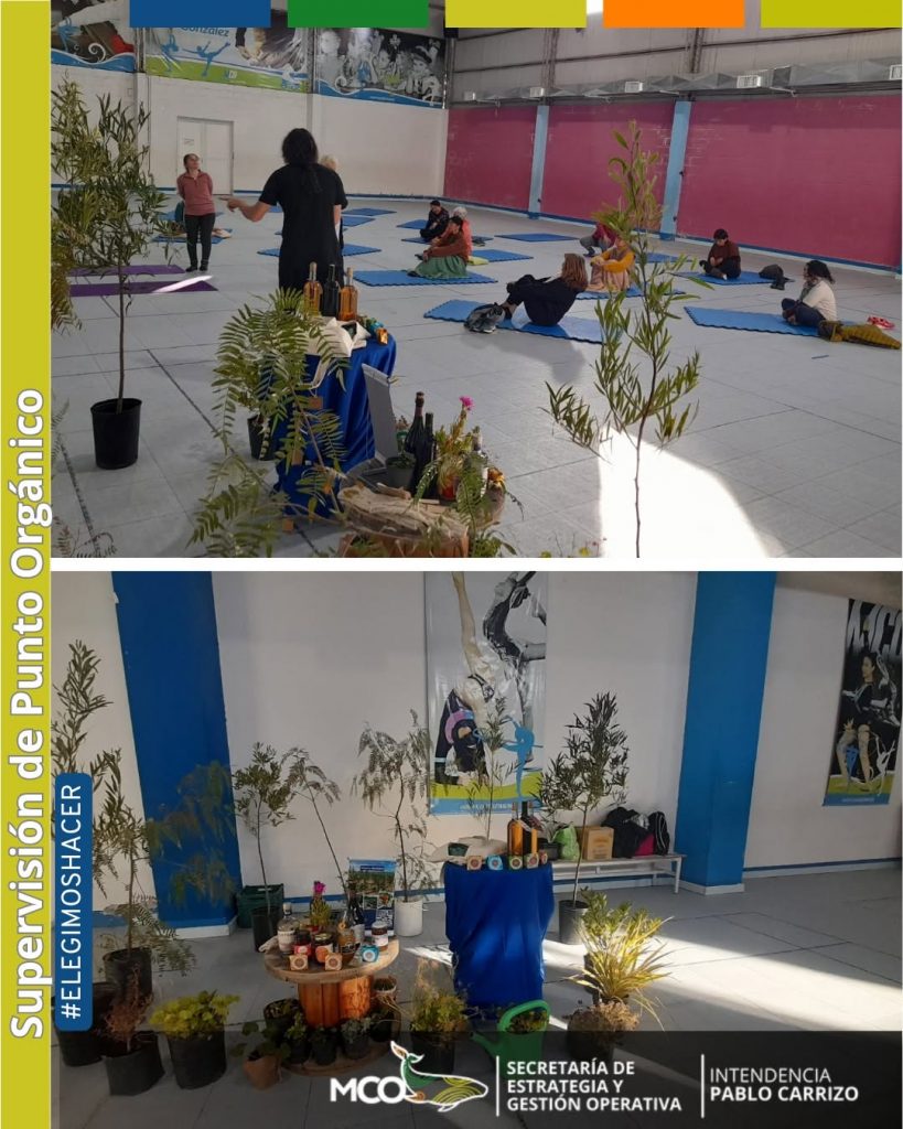 La naturaleza se conecta con el yoga.