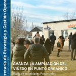Ampliación del Viñedo en Punto Orgánico