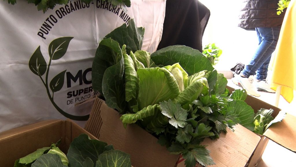 El “Mercado Agroecológico” abrió sus puertas en el barrio Vista Hermosa