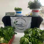 Optimización del “Mercado Agroecológico” de Caleta Olivia