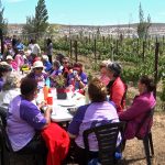 Lanzamiento del proyecto “La Huella del Vino de Caleta Olivia”