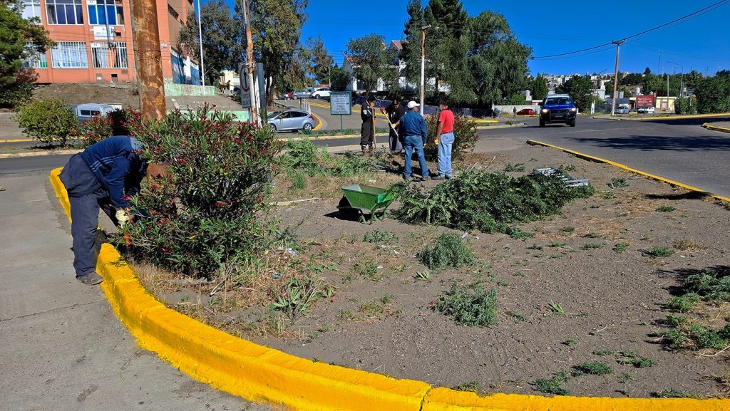 Operativo de poda baja y desmalezado en calles de la ciudad