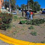 Operativo de poda baja y desmalezado en calles de la ciudad