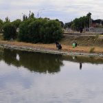 Jornada de Limpieza Ambiental en la Primera Laguna