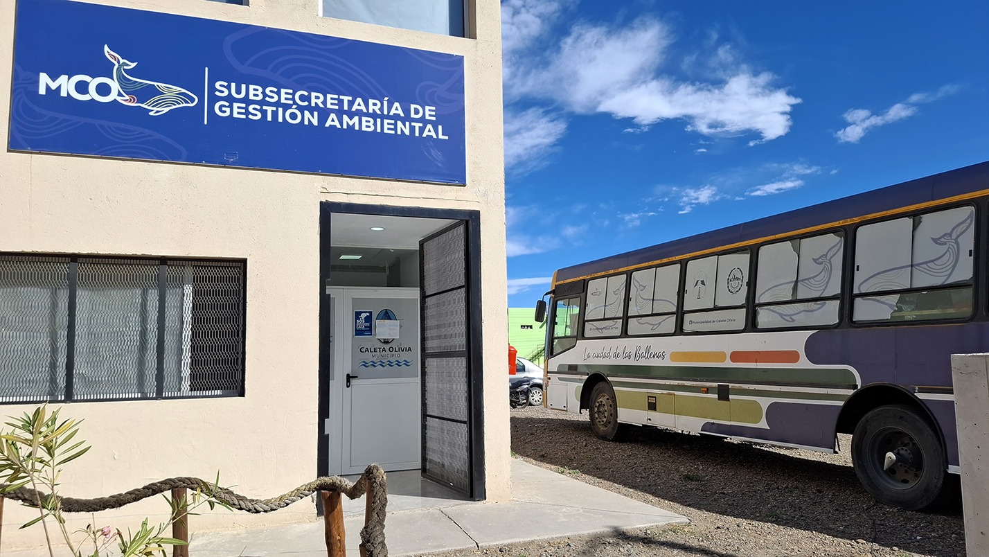 Esterilizar a las mascotas evita la superpoblación y las enfermedades