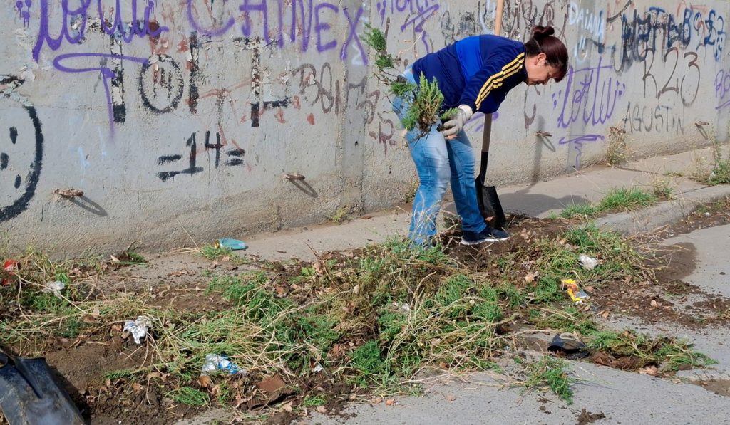 Etapa final del operativo de limpieza en barrio Rotary 23