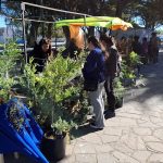 Feria de plantas, un espacio para conocer la naturaleza local