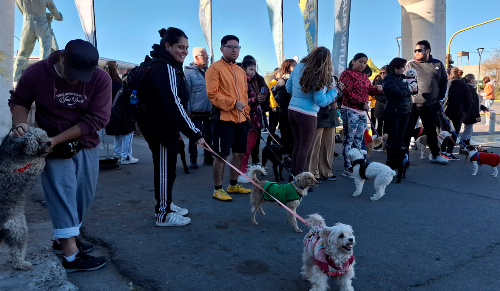El municipio continúa promoviendo acciones para fomentar la tenencia responsable de mascotas