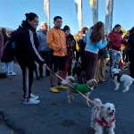 El municipio continúa promoviendo acciones para fomentar la tenencia responsable de mascotas