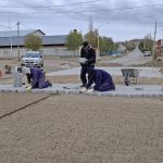Avanzan las obras de adoquinado y mejoras viales en los barrios